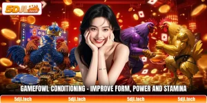 gamefowl conditioning improve form power and stamina 1