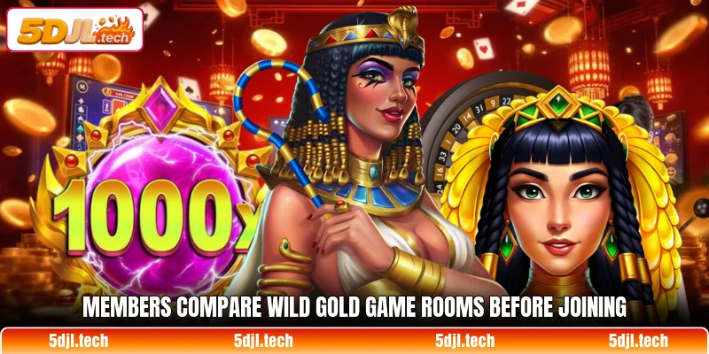 Members compare Wild Gold Game rooms before joining